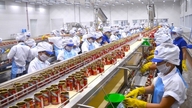 Nghe An's budget revenue surges, FDI sector increases by nearly 80%.