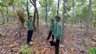 Gia Lai: Presset for at bevare skovene stiger.