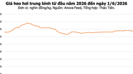 Preços da carne suína hoje, 1º de junho: Diminuíram nas regiões Norte e Central, oscilando entre 66.000 e 68.000 VND/kg.