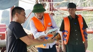 Las autoridades pusieron en marcha un operativo para inspeccionar y tomar medidas contra los buques pesqueros anclados ilegalmente a lo largo de las costas de la bahía de Ha Long.