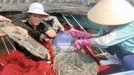 Vi inviterer dig til at deltage i Ho Chi Minh Citys konkurrence om bevidsthed om landdistrikternes erhverv og beskyttelse af landdistrikternes miljø.