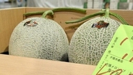 Japan: Et par cantaloupemeloner sætter auktionsrekord.