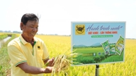 Perusahaan Saham Gabungan Pupuk Binh Dien: Membantu petani beralih dari ketergantungan pada lahan dan komputasi awan ke pertanian cerdas dan sangat efisien.