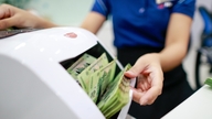 En række veletablerede vietnamesiske mærker er blevet 'pengetrykkermaskiner' for aktionærer.