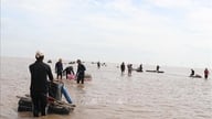 Développement des zones d'aquaculture et augmentation des revenus des résidents côtiers.