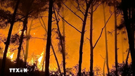 More than 700 communes were at extremely high risk of forest fires on June 2nd.