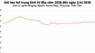 Svinekødspriser i dag, 2. juni: Den sydlige region opretholder en ensartet pris på 67.000 VND/kg, med en nedadgående tendens observeret på markedet.