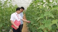 פתיחת "קו החיים" של האשראי: כוח מניע לעבר יעדי צמיחה דו-ספרתיים.