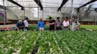 Пропозиції щодо усунення численних перешкод для кооперативних груп та кооперативів у місті Хошимін.