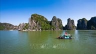 Bevarelse af Ha Long-bugtens brand - en sikker og venlig destination.