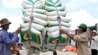 Bilateralt handelsmål på 10 milliarder dollars: Vietnamesisk ris og fisk og skaldyr har en bredere vej til Filippinerne.