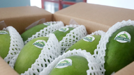 Can Tho en Zuid-Koreaanse bedrijven werken samen om de waardeketen van landbouwproducten te verbeteren.