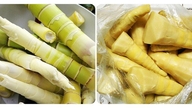 Dicas para remover o amargor dos brotos de bambu frescos em 10 minutos: Preserve a crocância, sem necessidade de fervura prolongada.
