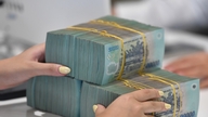 بدهی بیش از ۷۴۲ میلیارد دونگ ویتنام به شرکت آسیاییانا به حراج گذاشته می‌شود.
