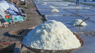Los precios de la sal suben al comienzo de la temporada, lo que incentiva a los productores de sal a seguir dedicándose a esta profesión.