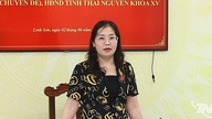 Komite Urusan Etnis Dewan Rakyat Provinsi melakukan survei mengenai beberapa isu di kelurahan Linh Son.