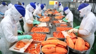Produsele procesate reprezintă o cotă mare de piață în exporturile de fructe și legume.