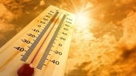 How does sunlight harm the eyes?