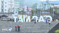 Phu Tho: Dengan memanfaatkan kelebihan iklimnya, Tam Dao berhasrat untuk menjadi destinasi pelancongan sepanjang tahun.