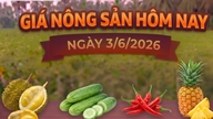 Dagens landbrugspriser (3. juni): Chilipebre steg med 4.000-10.000 VND/kg.