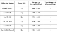 Rispriser den 3. juni 2026: Priserne i Mekongdeltaet forbliver stabile, mens de vietnamesiske eksportpriser på ris falder med 15 USD/ton.