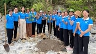 Las mujeres de Cu Lao Cham "mantienen el ritmo verde" en medio de una reserva mundial de la biosfera.