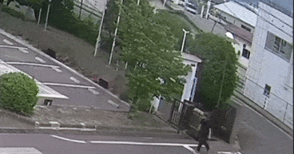 Video viser en sortbjørn, der jagter og angriber folk midt på gaden i Japan.