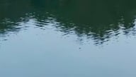 Uma menina de 15 anos morreu afogada enquanto nadava no lago Ke Go.