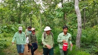 "Perisai Hijau" di Dong Giang