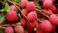 4 groepen mensen die niet te veel lychees zouden moeten eten.