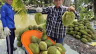 Improving the quality of agricultural products to meet the requirements of integration.