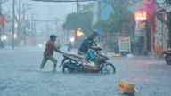 Ho Chi Minh Citys katastrofeforebyggelsesfond forventes at indsamle 1.172 milliarder VND.