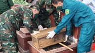 Pengambilan sampel dan digitalisasi informasi tentang jenazah prajurit yang gugur di Pemakaman Martir Quan Ba.