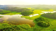 Le ministère de l'Agriculture et de l'Environnement répond à la proposition de transférer la gestion des terres forestières du parc national de Cat Tien à la ville de Dong Nai.