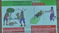 A OMS alerta para uma rara cepa do vírus Ebola na África Central.