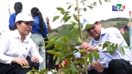 Launching a tree planting campaign in Ya Ly commune.