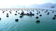 海と島嶼に関する19の行政手続きが改正および補足された。