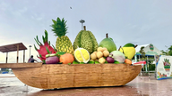 Rumbo a la tierra de las frutas dulces, Dong Thap