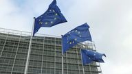 Medlemslandene er mere forenede 10 år efter, at Storbritannien forlod EU.
