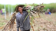 E10 - Uma oportunidade inovadora na bioeconomia