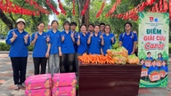 Tinerii din Hai Phong își unesc forțele pentru a vinde peste 32 de tone de morcovi.
