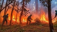 To skovbrande i træk har beskadiget huse i Hue.
