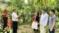 Seneste reorganisering af landsbyer og kvarterer i Lai Chau: Khong Lao kommune forventes at beholde 15 landsbyer og reducere antallet til 22 efter fusionen.