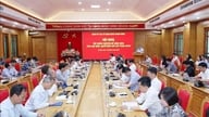 Komite-komite partai di lembaga-lembaga pusat partai sedang menyelenggarakan pelatihan mengenai peraturan dan keputusan baru dari Komite Pusat.