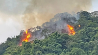 Controlando o incêndio florestal no Parque Nacional de Cuc Phuong.