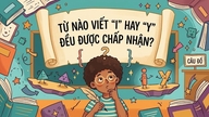 Která slova jsou přijatelná, ať už se píší s „i“ nebo s „y“?