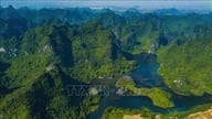 Những phát hiện mới về cấu trúc quần xã côn trùng ở Tràng An