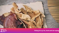 Tämän tyyppistä sientä pidetään perinteisen kiinalaisen lääketieteen "yrttien kuninkaana".