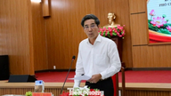 Da Nang opfordrer til samarbejdsudvikling for at maksimere Sydens potentiale.
