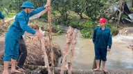 Vinh Long interviene tempestivamente in caso di calamità naturali durante la stagione delle piogge e delle tempeste.